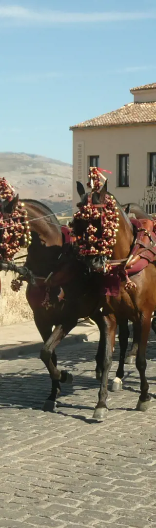 Die Königin der Pueblos Blancos